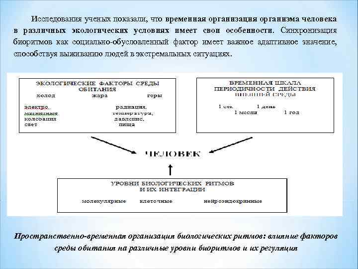 Исследования ученых показали, что временная организация организма человека в различных экологических условиях имеет свои