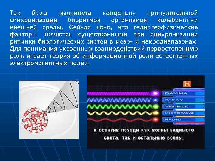 Так была выдвинута концепция принудительной синхронизации биоритмов организмов колебаниями внешней среды. Сейчас ясно, что