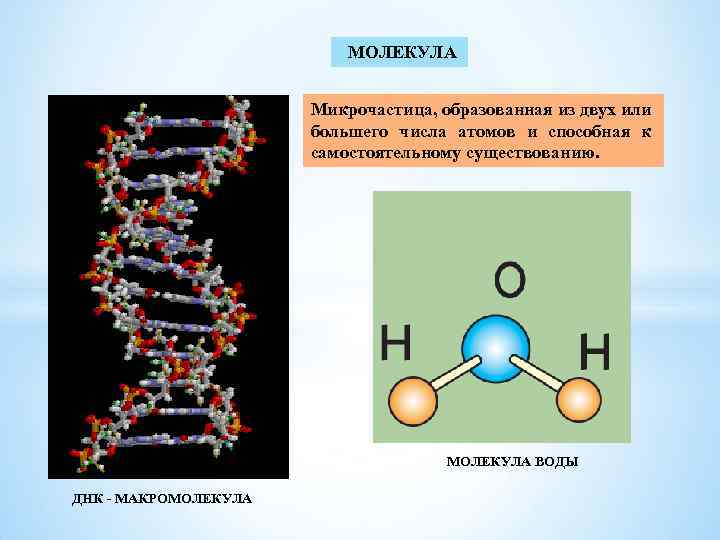 МОЛЕКУЛА Микрочастица, образованная из двух или большего числа атомов и способная к самостоятельному существованию.