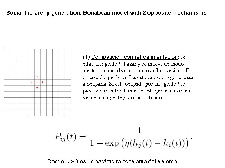 Social hierarchy generation: Bonabeau model with 2 opposite mechanisms (1) Competición con retroalimentación: se