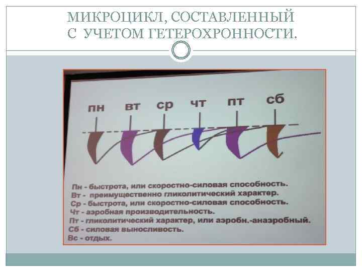 МИКРОЦИКЛ, СОСТАВЛЕННЫЙ С УЧЕТОМ ГЕТЕРОХРОННОСТИ. 
