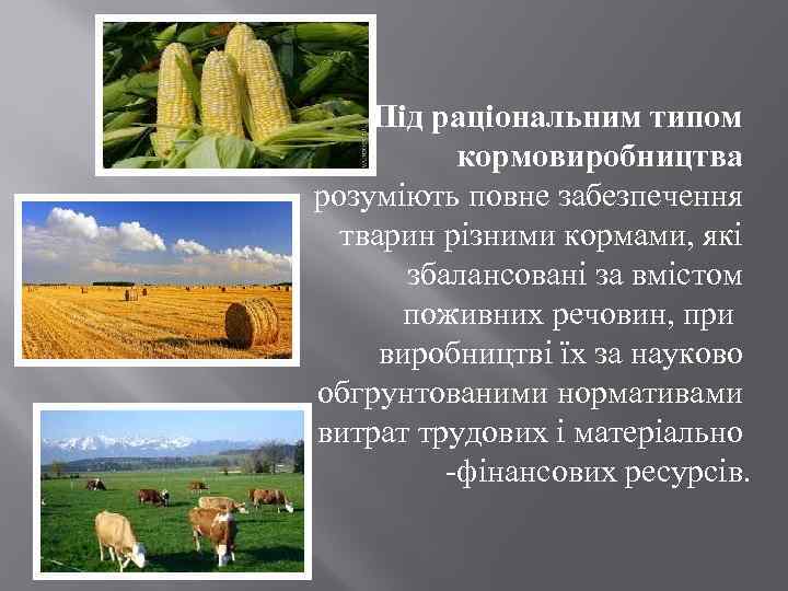 Під раціональним типом кормовиробництва розуміють повне забезпечення тварин різними кормами, які збалансовані за вмістом