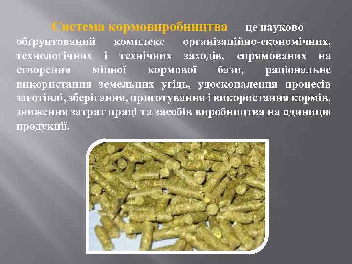  Система кормовиробництва — це науково обґрунтований комплекс організаційно-економічних, технологічних і технічних заходів, спрямованих