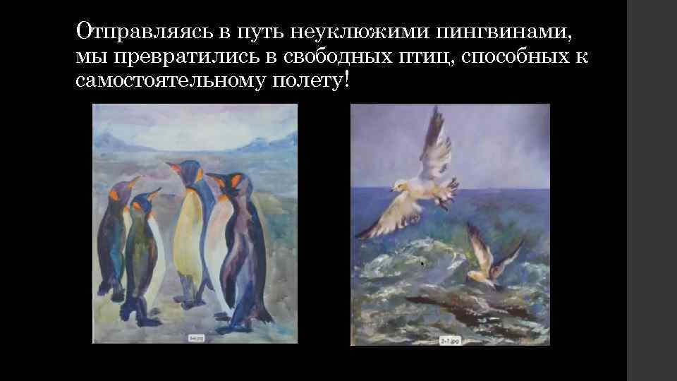 Отправляясь в путь неуклюжими пингвинами, мы превратились в свободных птиц, способных к самостоятельному полету!