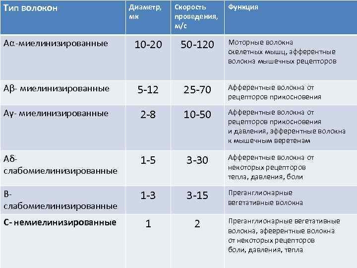Тип волокон Диаметр, мк Скорость проведения, м/с Функция А⍺-миелинизированные 10 -20 50 -120 Аβ-
