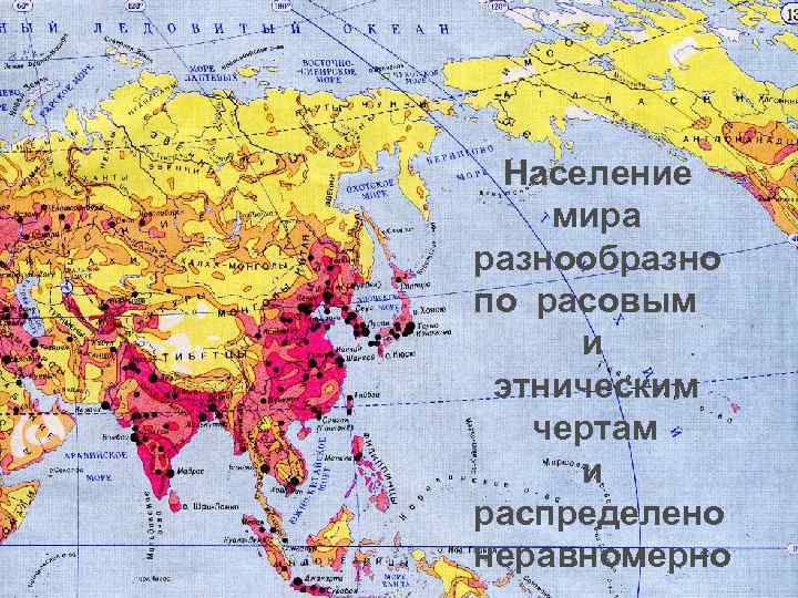 Население мира разнообразно по расовым и этническим чертам и распределено неравномерно 