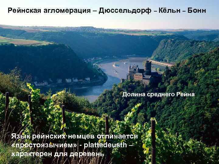 Рейнская агломерация – Дюссельдорф – Кёльн – Бонн Долина среднего Рейна Язык рейнских немцев
