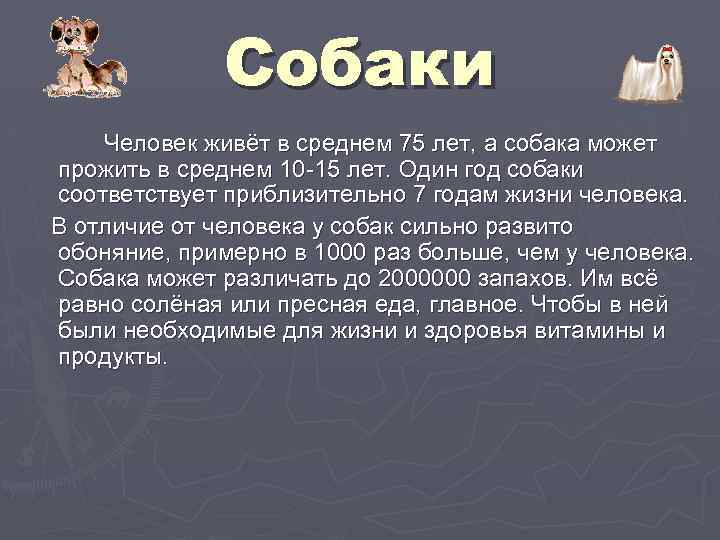 Собаки Человек живёт в среднем 75 лет, а собака может прожить в среднем 10