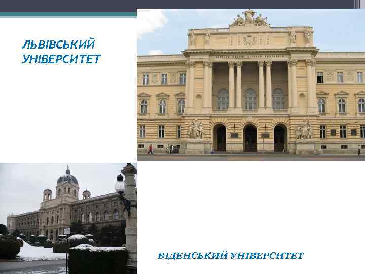 ЛЬВІВСЬКИЙ УНІВЕРСИТЕТ ВІДЕНСЬКИЙ УНІВЕРСИТЕТ 