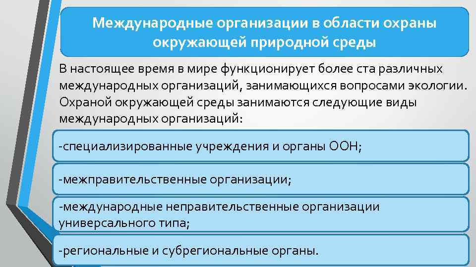 Роль международных организаций в сохранении природных ресурсов презентация