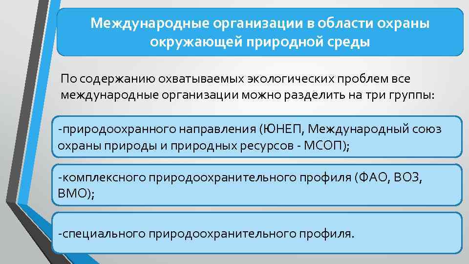 Проблемы международных организаций. Международные организации по охране окружающей среды. Международные организации в области охраны природы. Международные организации в области охраны среды. Международных организаций в сфере охраны природной среды.