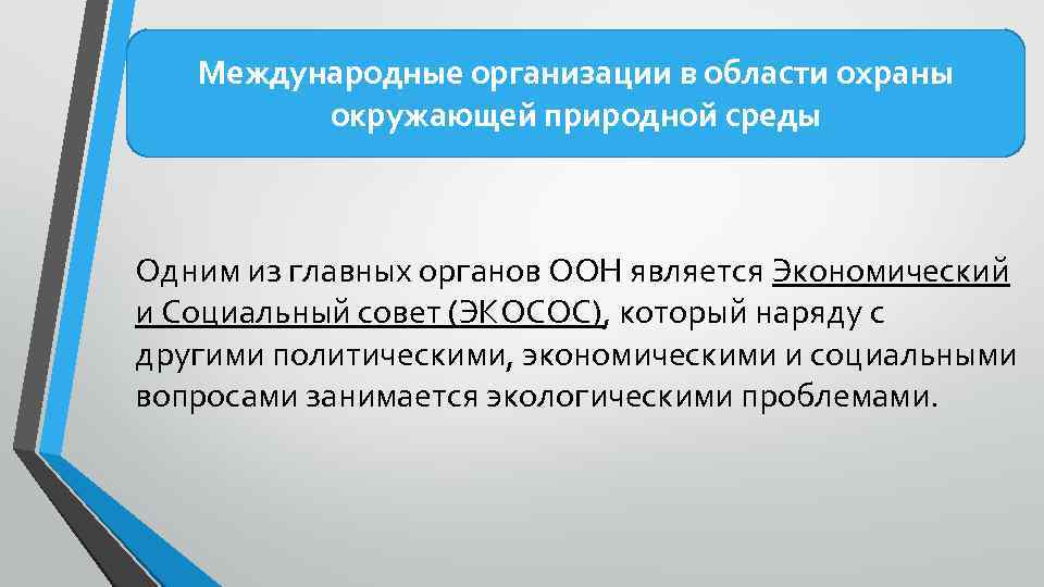 Международные организации в области охраны окружающей природной среды Одним из главных органов ООН является
