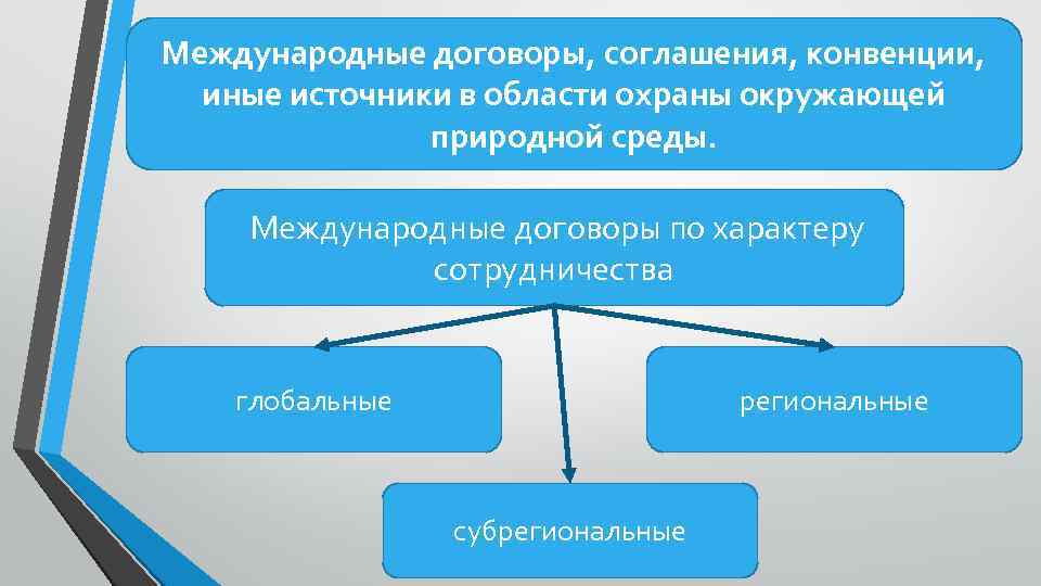 Международные договоры, соглашения, конвенции, иные источники в области охраны окружающей природной среды. Международные договоры