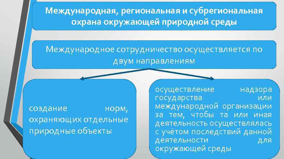 Международные природные организации презентация