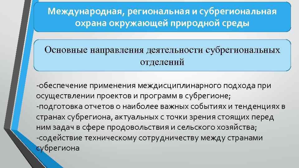 Международная, региональная и субрегиональная охрана окружающей природной среды Основные направления деятельности субрегиональных отделений -обеспечение