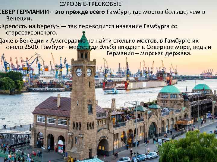  СУРОВЫЕ-ТРЕСКОВЫЕ СЕВЕР ГЕРМАНИИ – это прежде всего Гамбург, где мостов больше, чем в