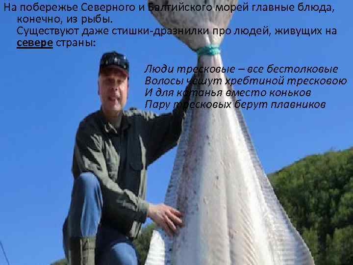 На побережье Северного и Балтийского морей главные блюда, конечно, из рыбы. Существуют даже стишки-дразнилки