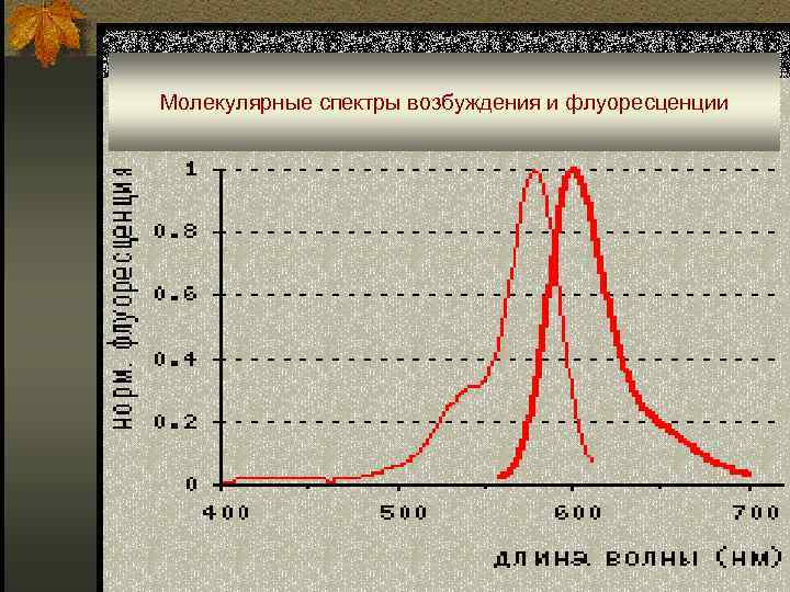 Молекулярные спектры возбуждения и флуоресценции 