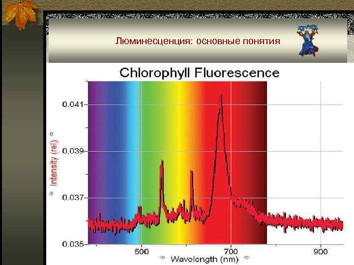 Люминесценция: основные понятия 