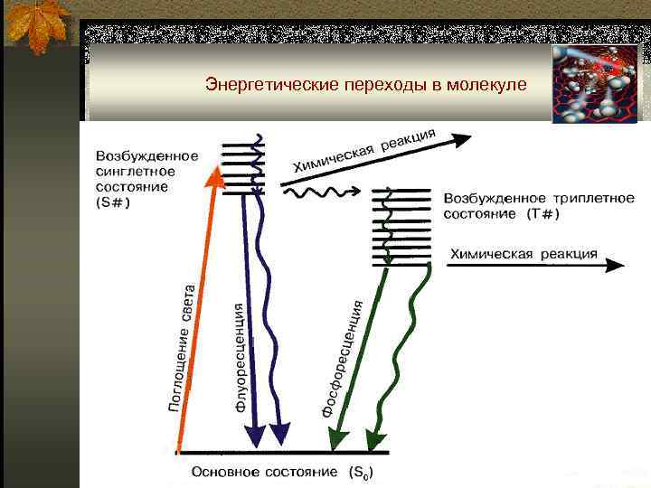 Проект по физике люминесценция