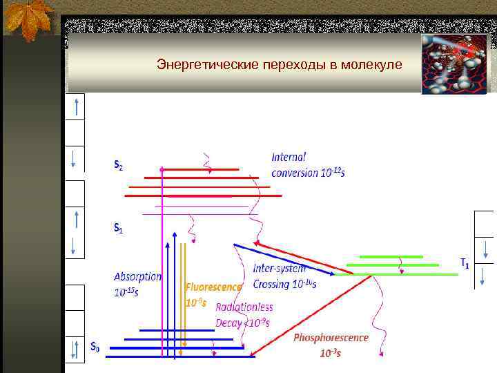Энергетические переходы в молекуле 