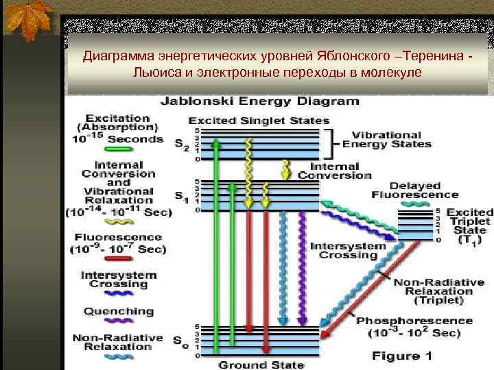 Диаграмма яблонского люминесценция