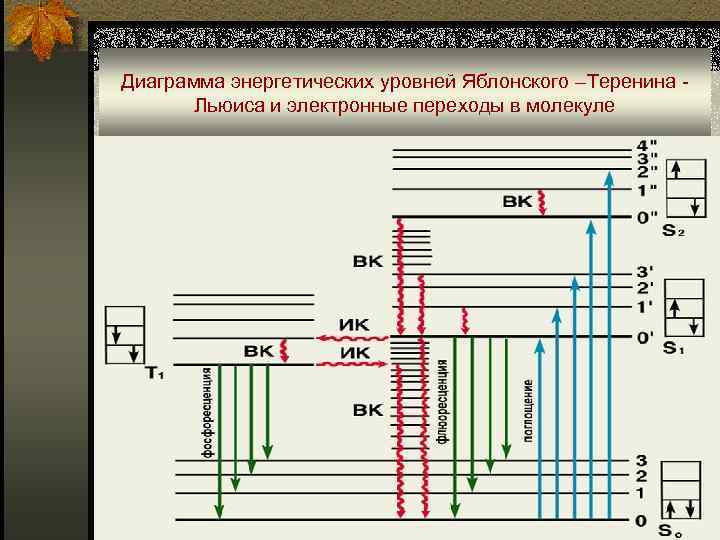 По диаграмме энергетических уровней атома определите какой переход соответствует случаю поглощения