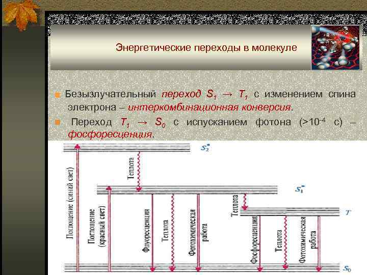 Энергетические переходы в молекуле ■ Безызлучательный переход S 1 → T 1 с изменением
