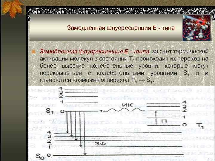 Замедленная флуоресценция Е - типа n Замедленная флуоресценция Е – типа: за счет термической