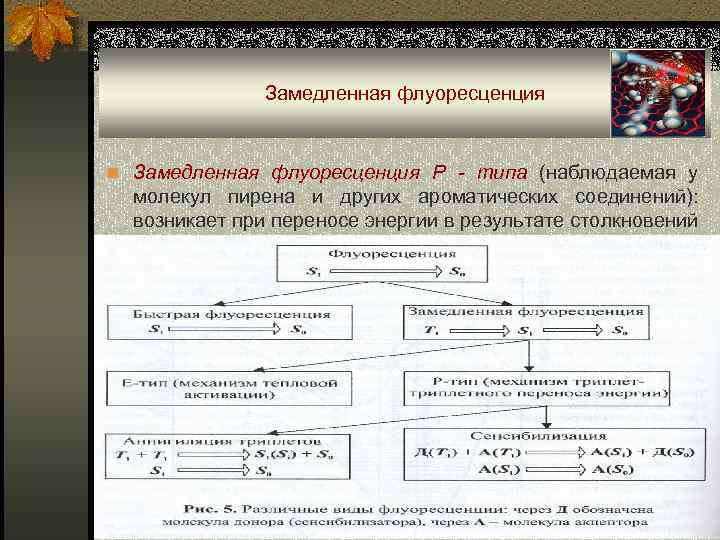 Замедленная флуоресценция n Замедленная флуоресценция Р - типа (наблюдаемая у молекул пирена и других