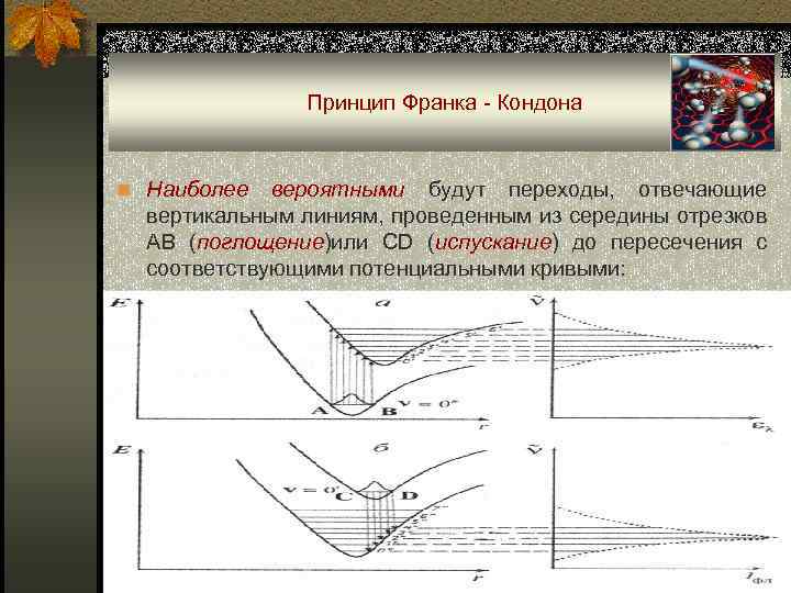 Принцип Франка - Кондона n Наиболее вероятными будут переходы, отвечающие вертикальным линиям, проведенным из