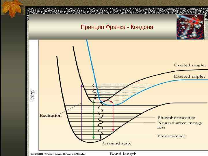 Принцип франка кондона