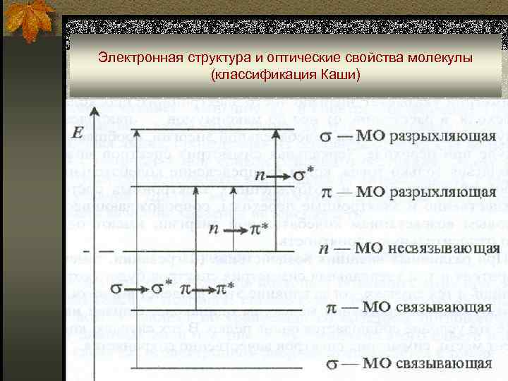 Электронная структура и оптические свойства молекулы (классификация Каши) 