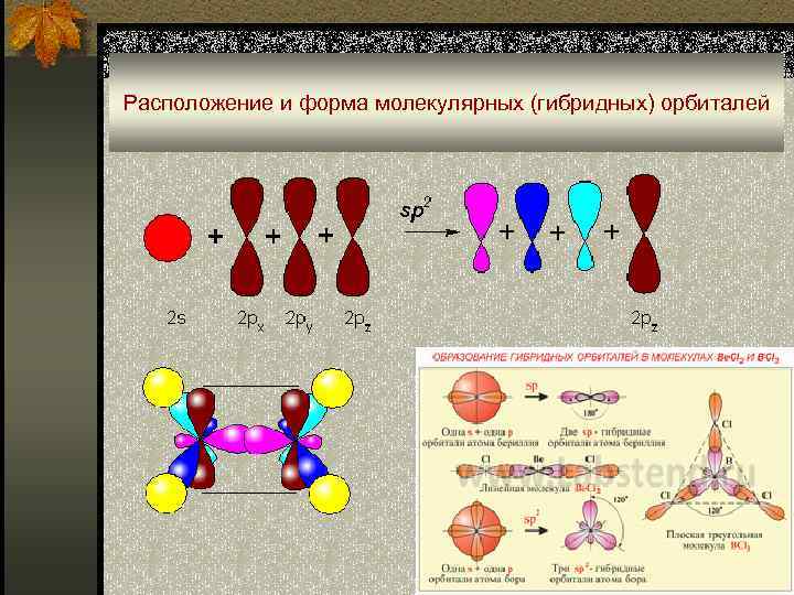Расположение и форма молекулярных (гибридных) орбиталей 