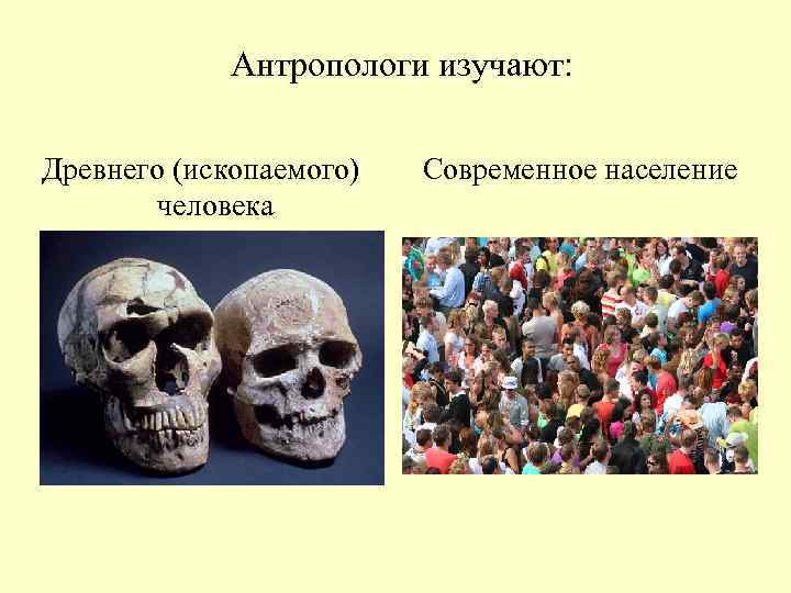 Что такое антропология. Современный человек антропология. Антропология наука о человеке. Современная наука о человеке (антропология). Антропология это наука изучающая.