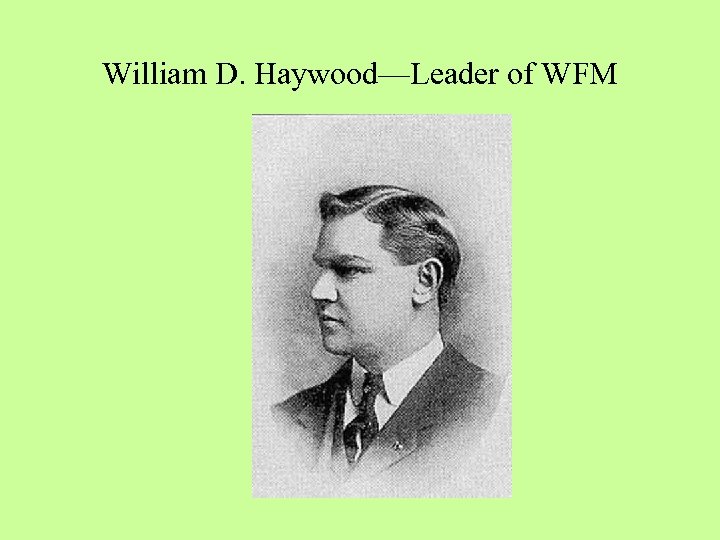 William D. Haywood—Leader of WFM 