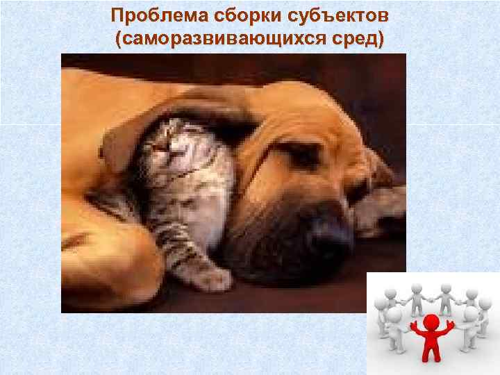 Проблема сборки субъектов (саморазвивающихся сред) 