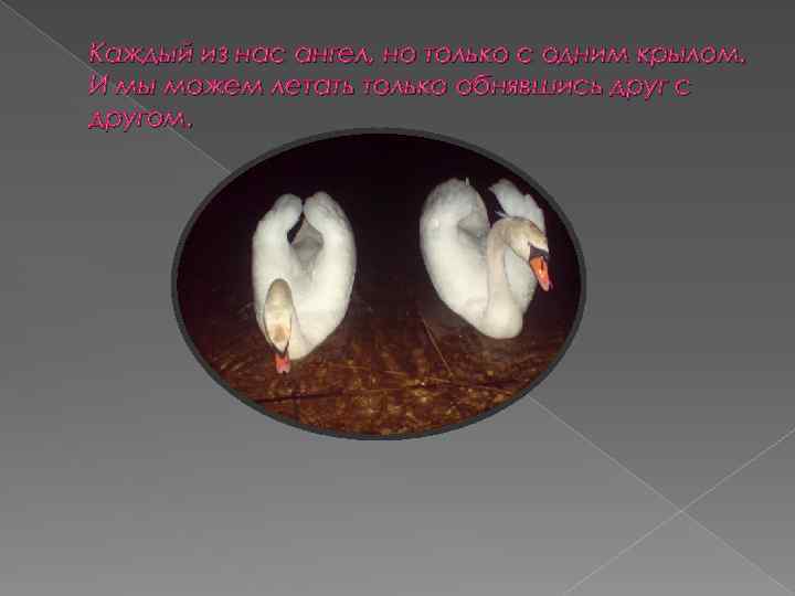 Каждый из нас ангел, но только с одним крылом. И мы можем летать только