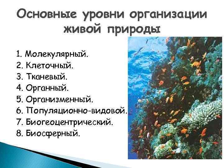 Виды организации живой природы. Уровни организации живой природы организменный уровень. Организменный уровень организации живого. Организменный уровень организации жизни это уровень. Органный уровень организации живой природы.