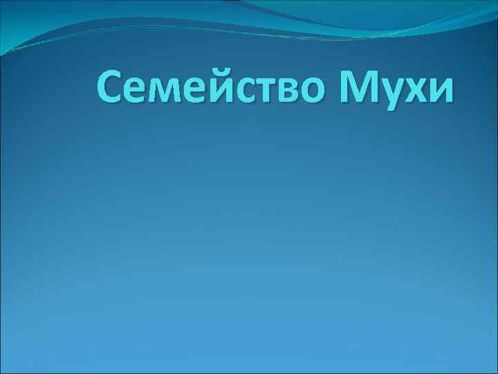 Семейство Мухи 