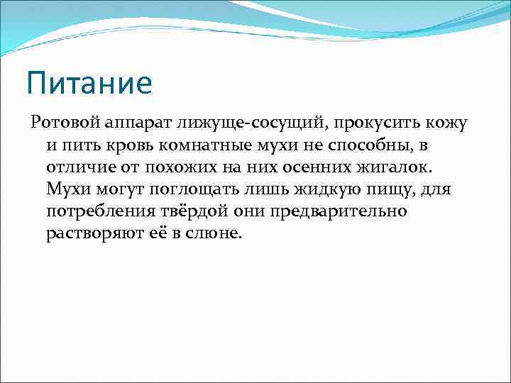 Питание Ротовой аппарат лижуще-сосущий, прокусить кожу и пить кровь комнатные мухи не способны, в