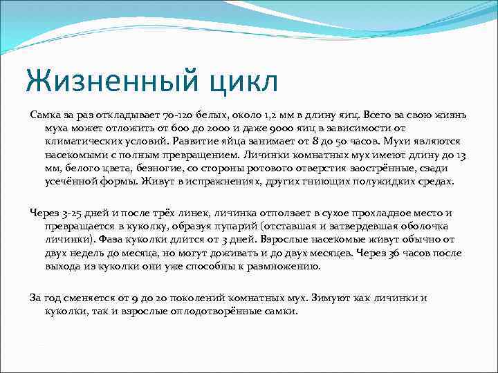 Жизненный цикл Самка за раз откладывает 70 -120 белых, около 1, 2 мм в