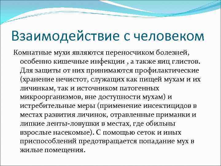 Взаимодействие с человеком Комнатные мухи являются переносчиком болезней, особенно кишечные инфекции , а также