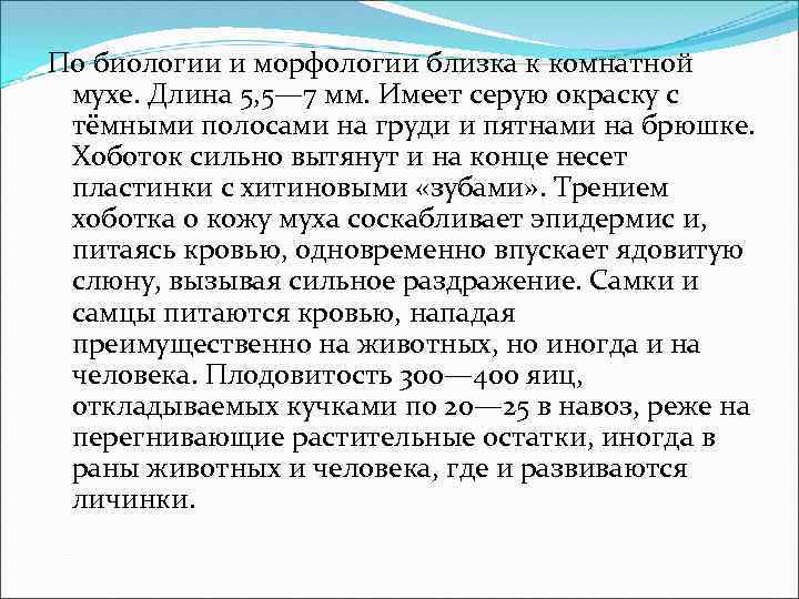 По биологии и морфологии близка к комнатной мухе. Длина 5, 5— 7 мм. Имеет