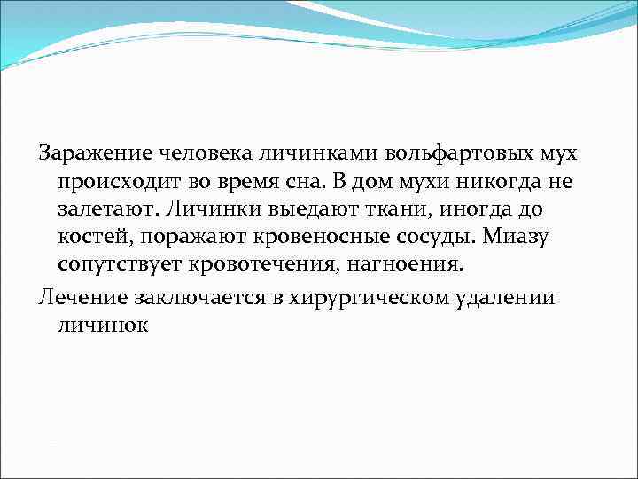 Заражение человека личинками вольфартовых мух происходит во время сна. В дом мухи никогда не