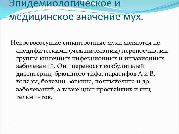 Значение мухи. Медицинское значение мух. Медицинское значение. Медицинское и эпидемиологическое значение мух. Эпид значение мух.