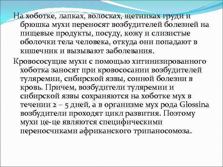 На хоботке, лапках, волосках, щетинках груди и брюшка мухи переносят возбудителей болезней на пищевые