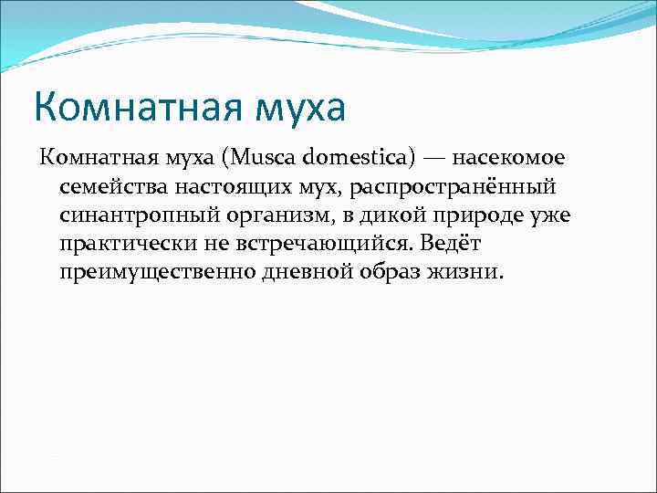 Комнатная муха (Musca domestica) — насекомое семейства настоящих мух, распространённый синантропный организм, в дикой