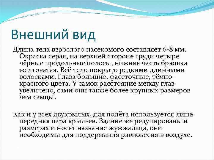 Внешний вид Длина тела взрослого насекомого составляет 6 -8 мм. Окраска серая, на верхней