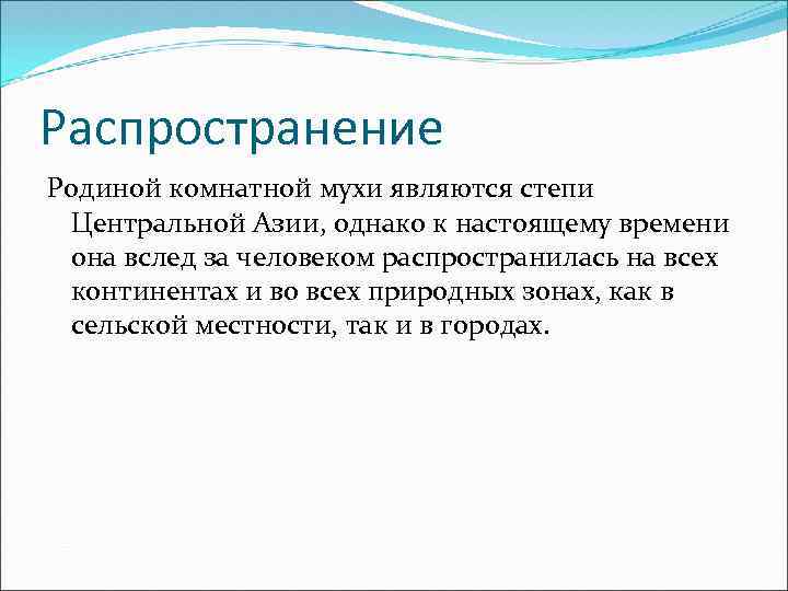 Распространение Родиной комнатной мухи являются степи Центральной Азии, однако к настоящему времени она вслед